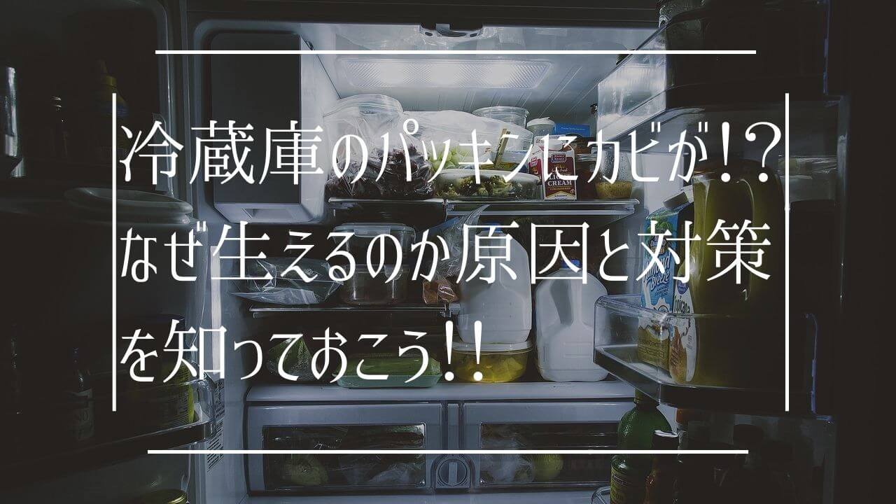 冷蔵庫のパッキンにカビが！！なぜ生えるのか原因と対策を知っておこう！！